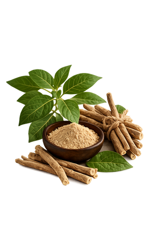 Ashwagandha KSM-66®